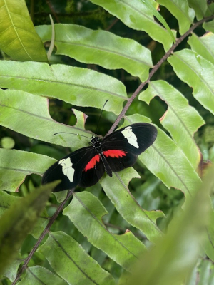 Botanická zahrada